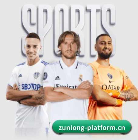 尊龙体育在线 APP 界面